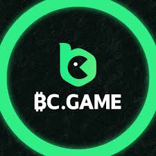 Experience the Thrill of Gaming at BC.CO Casino 7