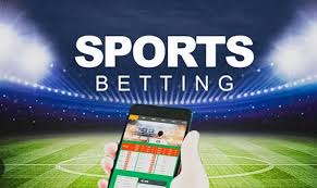 Discover the World of Betting with Bet24